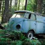 Encontró una Combi 1955 que estuvo abandonada en el bosque ¡por 40 años!