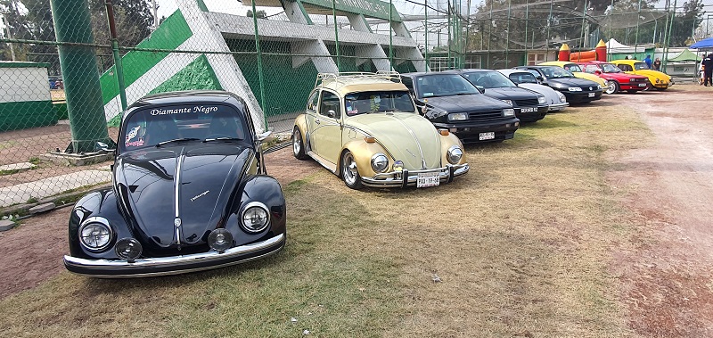 Old Bugs Fest 9 (11)