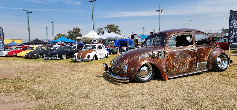 Old Bugs Fest 9 (14)