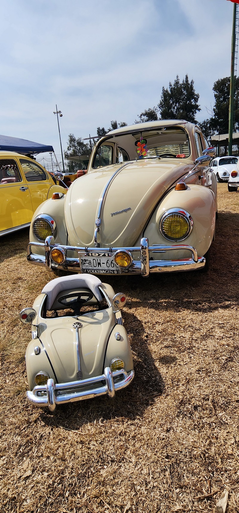 Old Bugs Fest 9 (16)