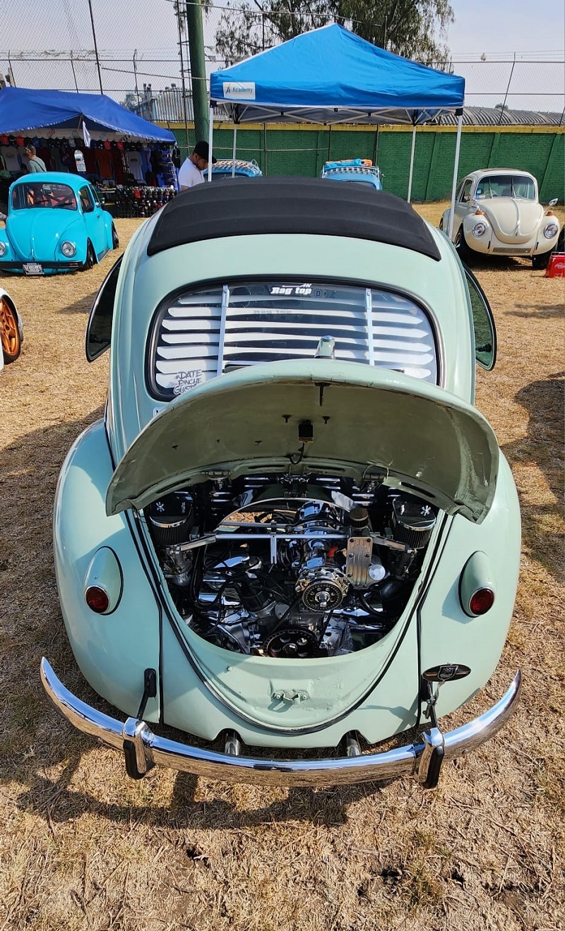Old Bugs Fest 9