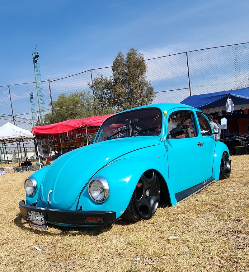 Old Bugs Fest 9