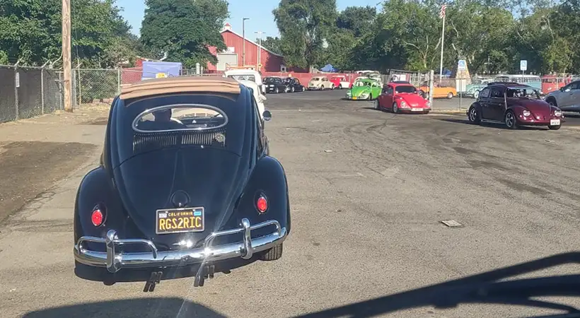 Bug Bash California