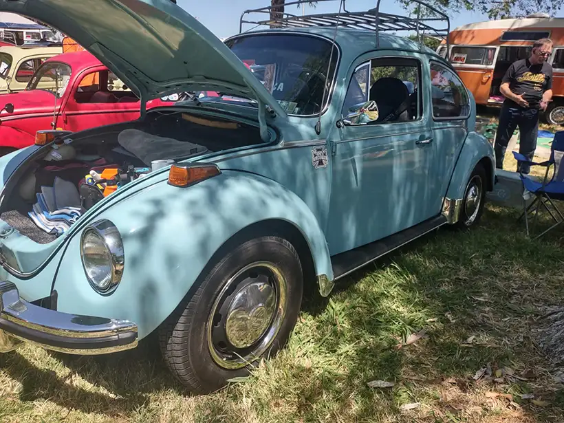 Bug Bash California