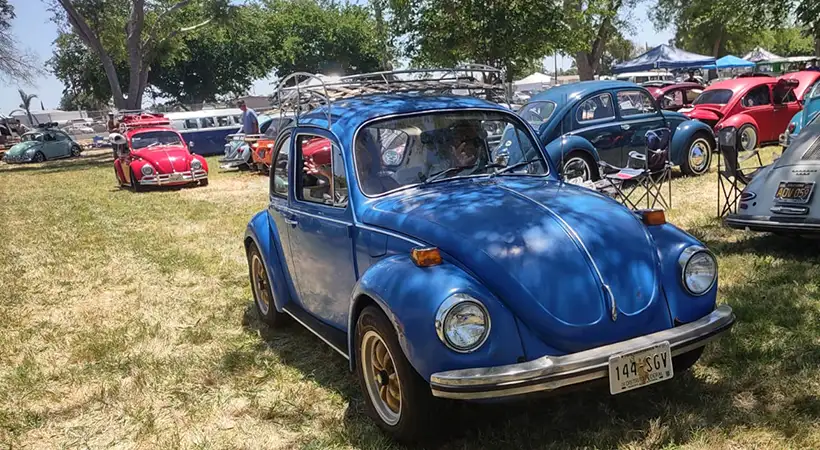 Bug Bash California