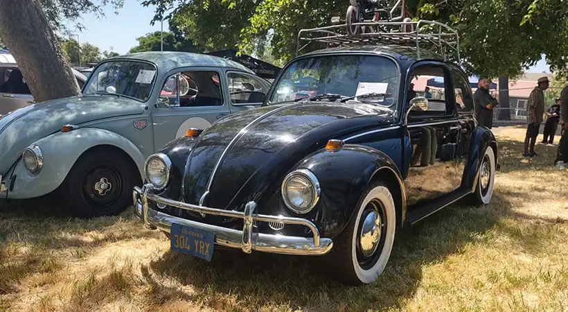 Bug Bash California