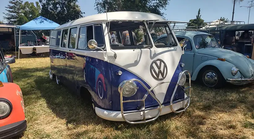 Bug Bash California