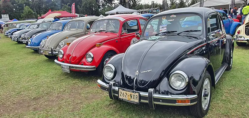 Xochivolks 2024
