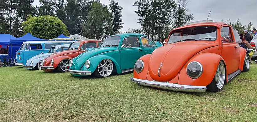 Xochivolks 2024