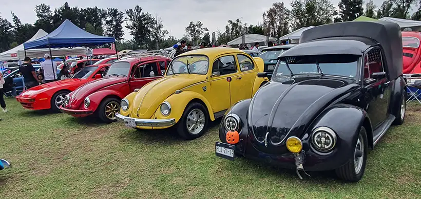 Xochivolks 2024