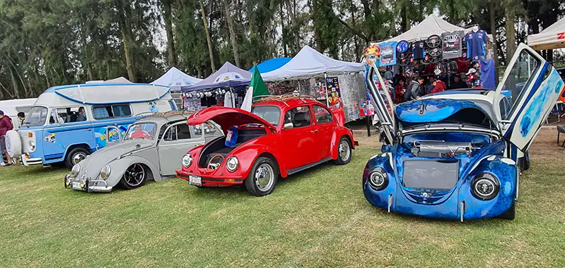 xochivolks 2024