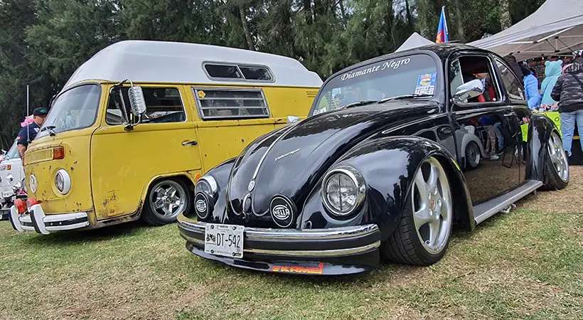 eventos vocheros mexico noviembre 2024