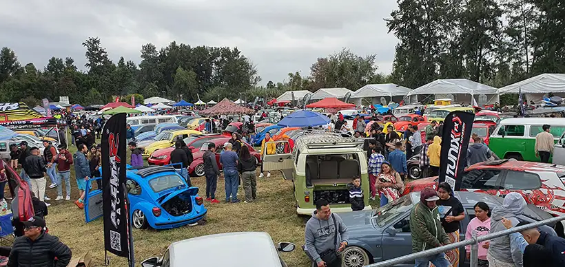 eventos vocheros mexico noviembre 2024