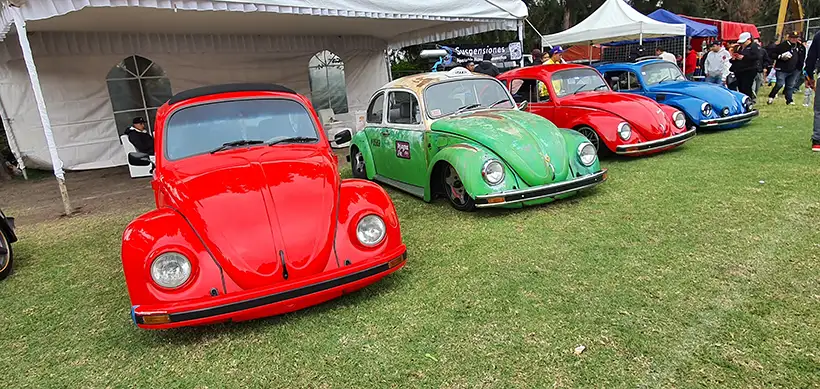 Xochivolks 2024