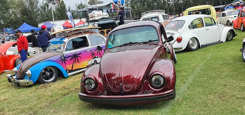 Xochivolks 2024