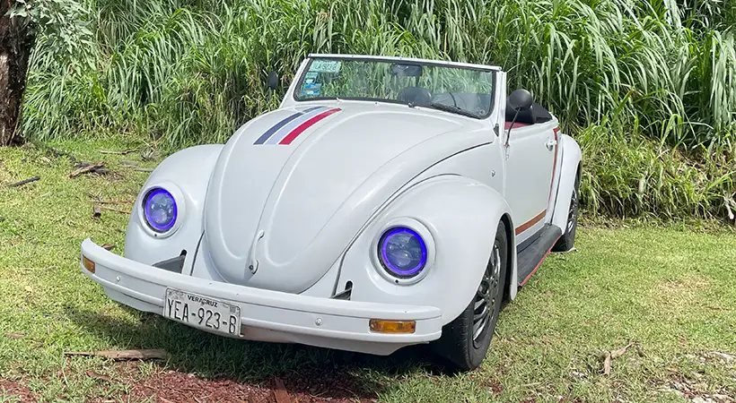 Vocho convertible