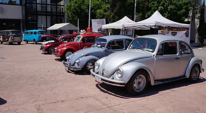 día internacional de la combi iztacalco vagos en combi