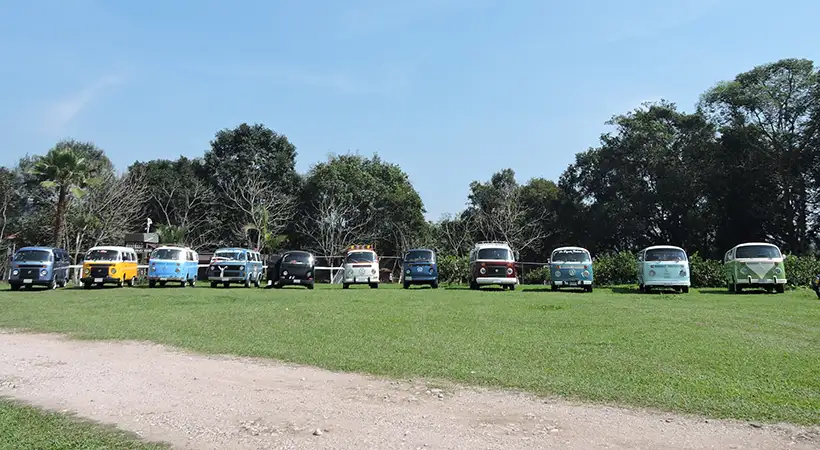dia nacional de la combi club combi xalapa