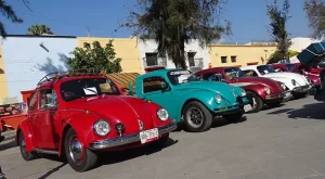 eventos vocheros mexico marzo 2025