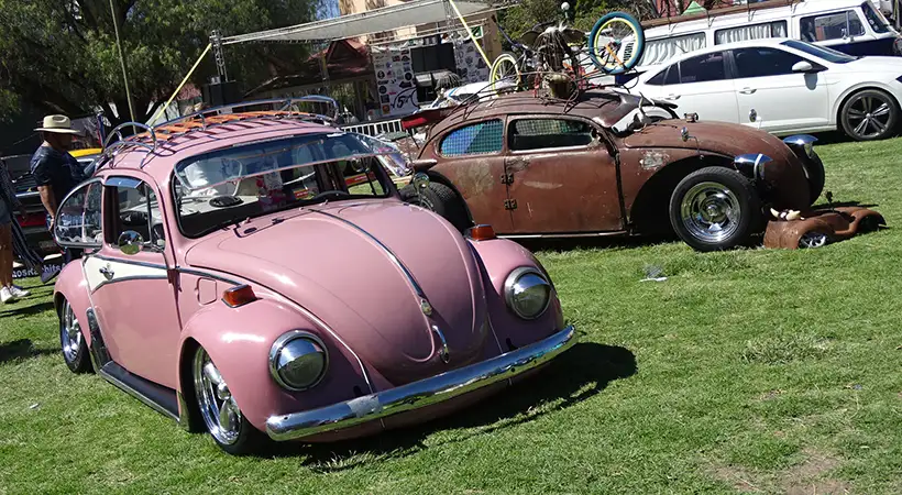 5ta. Fiesta Volks Girls