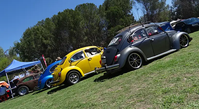 5ta. Fiesta Volks Girls