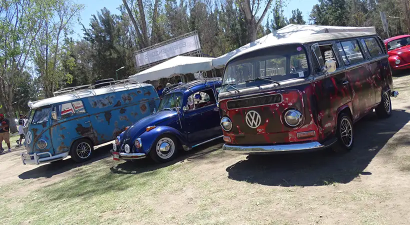 5ta. Fiesta Volks Girls