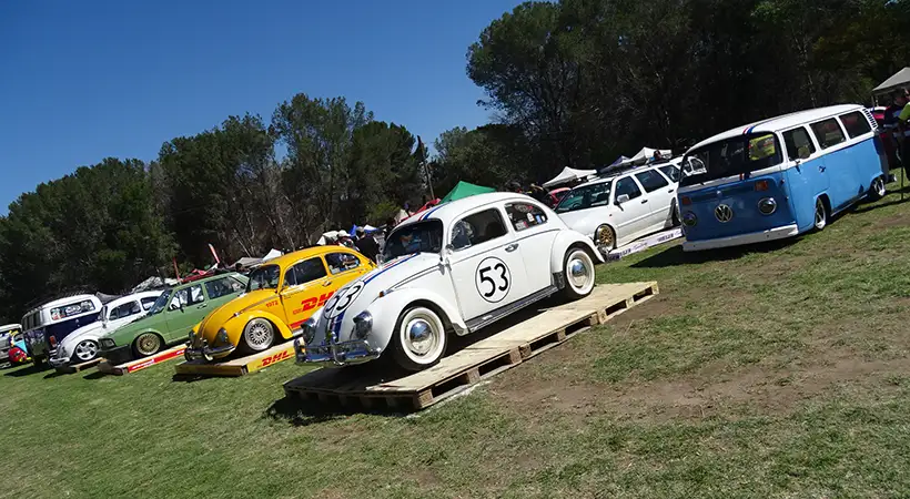 eventos vocheros mexico marzo 2025