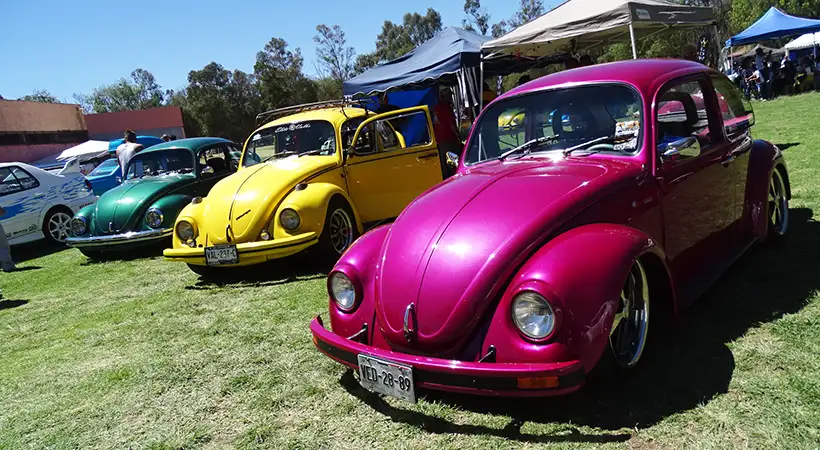 eventos vocheros mexico marzo 2025