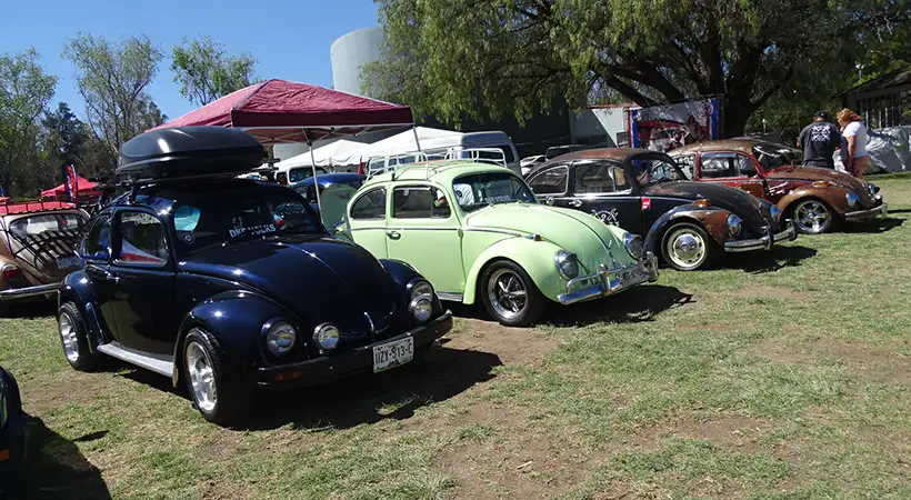5ta. Fiesta Volks Girls