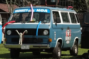 dia nacional de la combi club combi xalapa