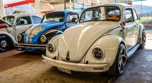 Rebeldes Volks CDMX