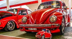 Rebeldes Volks CDMX