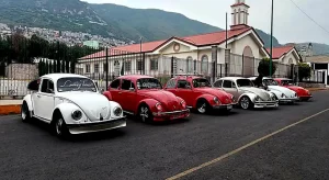 Rebeldes Volks CDMX