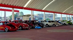 Rebeldes Volks CDMX