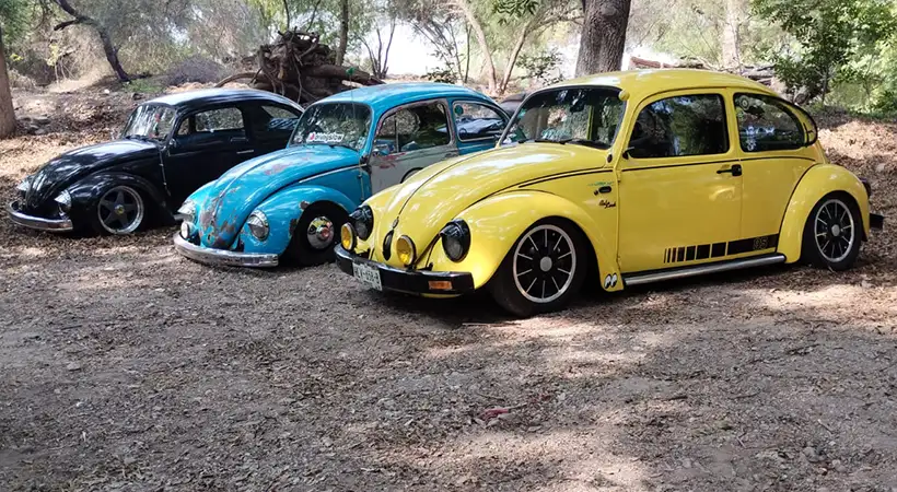 eventos autos modificados mexico mayo 2025